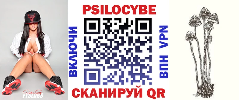что такое наркотик  Назрань  Псилоцибиновые грибы мицелий 